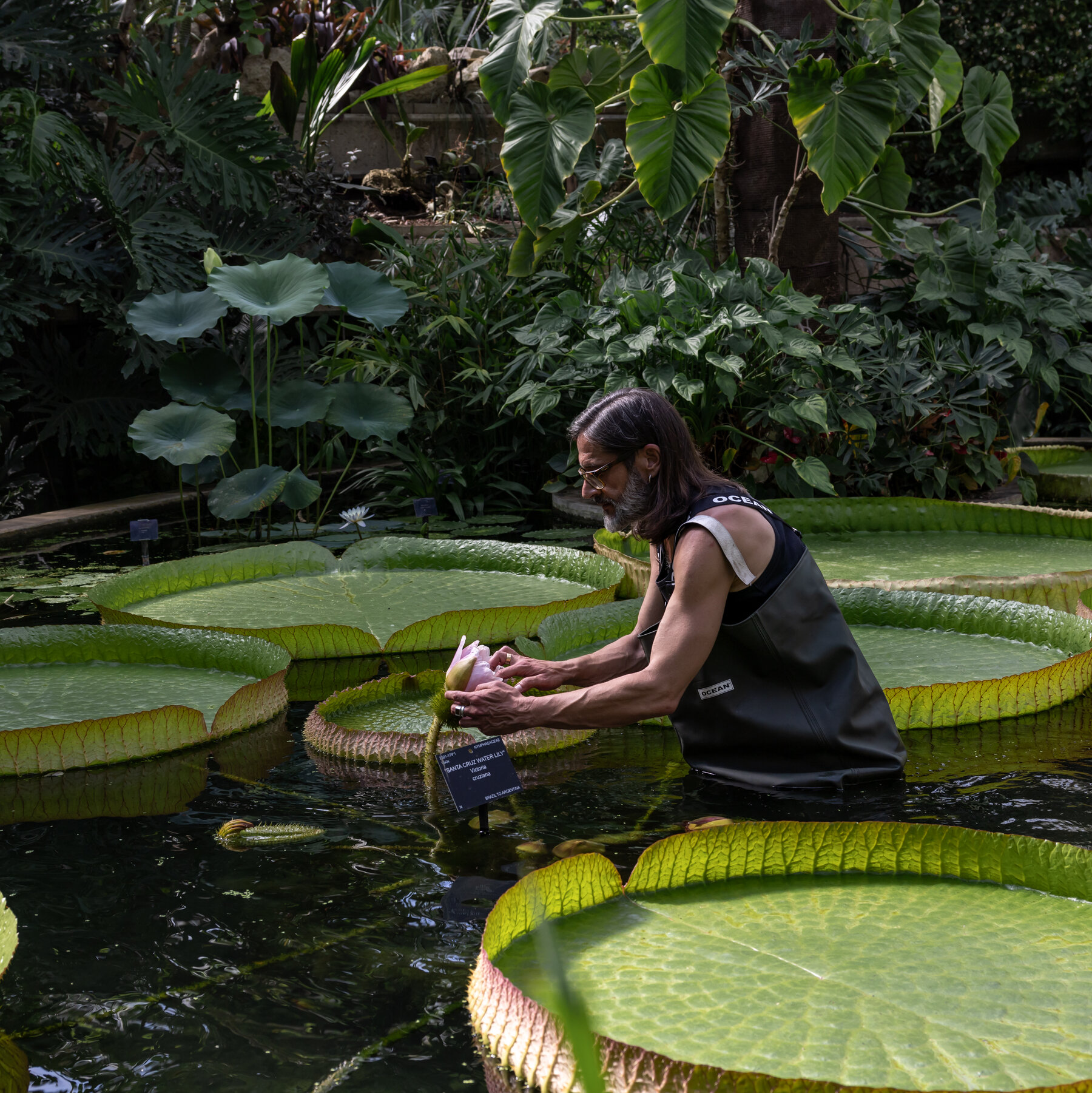 Horticulturist Carlos Magdalena Is Saving Rare Flowers From Extinction