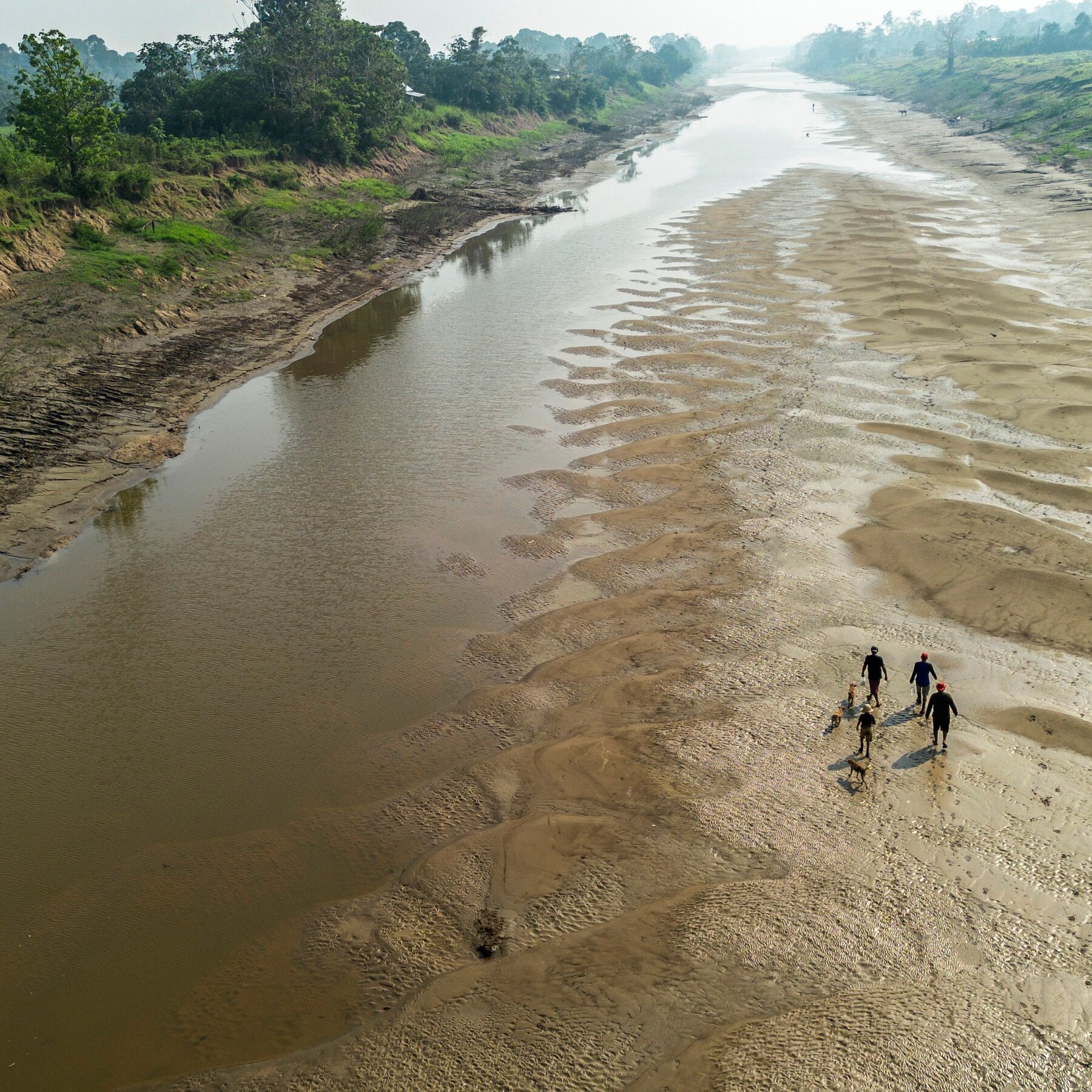 Climate Change Is Scorching Stretches of the Amazon River in Brazil