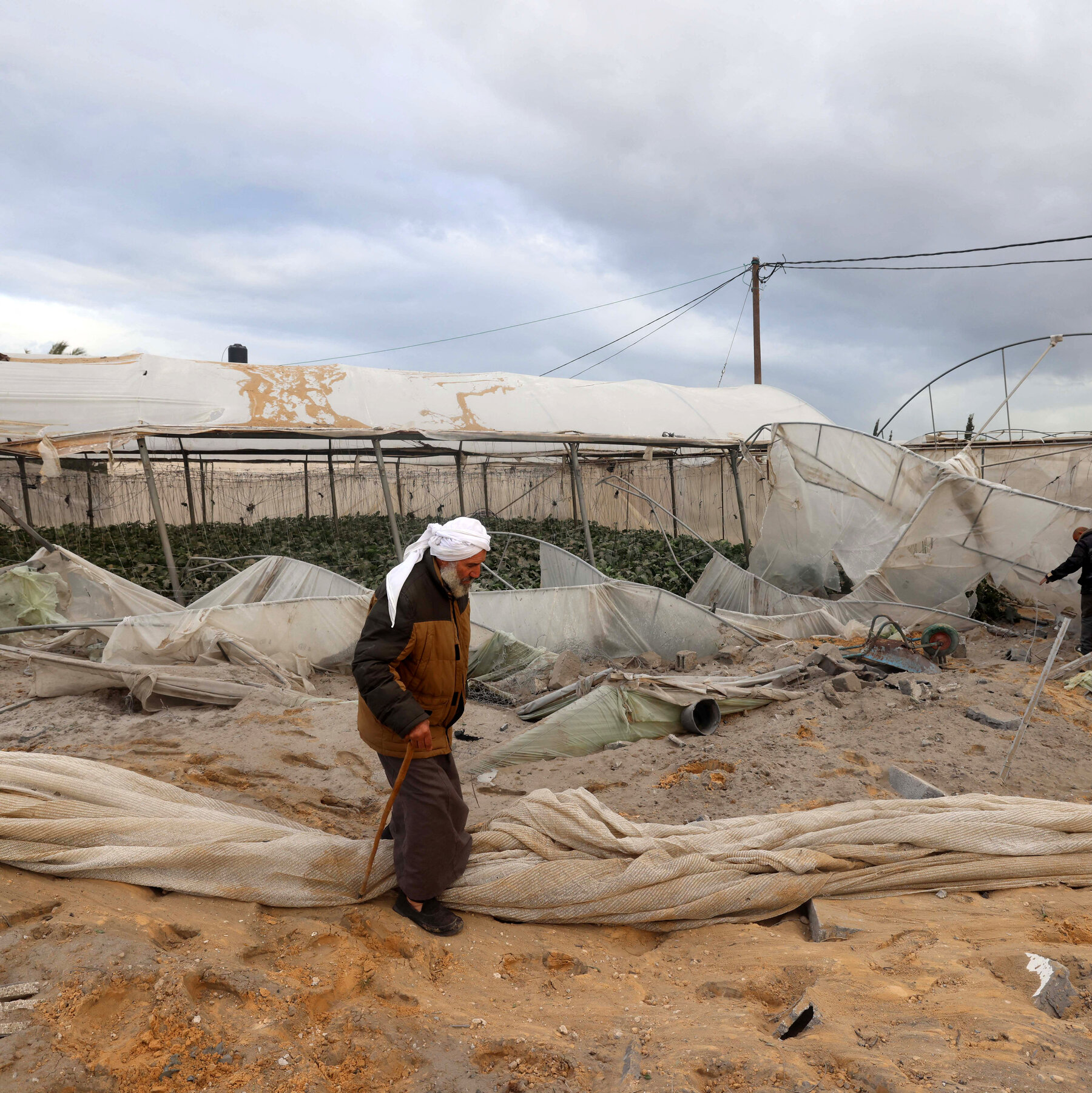 As Famine Stalks Gaza, Farmers Lament Their Many Losses